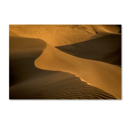 Dan Ballard 'Sand Dunes' Canvas Art,16x24